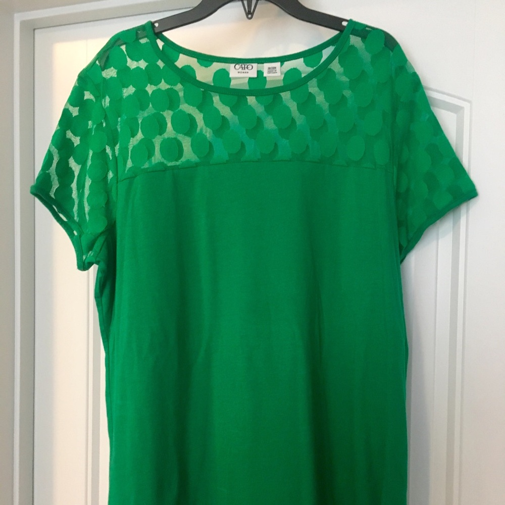 Cato Kelly Green Top